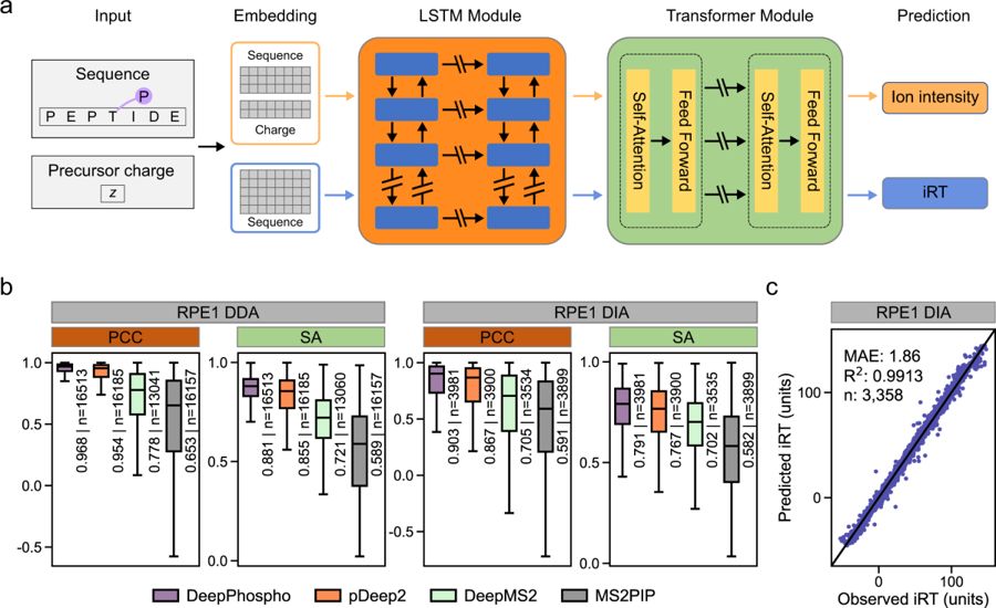 DeepPhospho workflow figure from Nature Communications